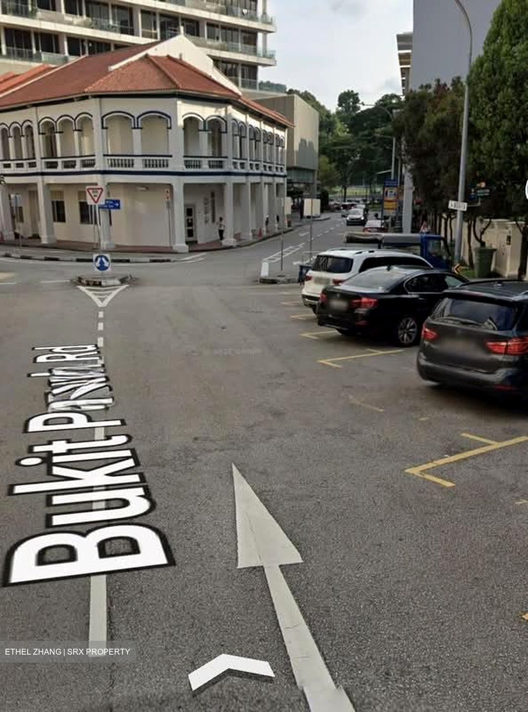 Bukit Pasoh Conservation Area (D2), Shop House #575694601